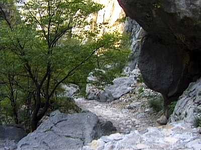 Paklenica Bild 10